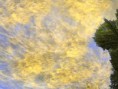 /album/galeria-de-fotos-baixar-programas-para-gta-san-andreas/gallery48-jpg1/