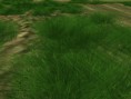 /album/galeria-de-fotos-baixar-programas-para-gta-san-andreas/gallery49-jpg1/