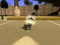 /album/galeria-de-fotos-baixar-programas-para-gta-san-andreas/gallery80-jpg/